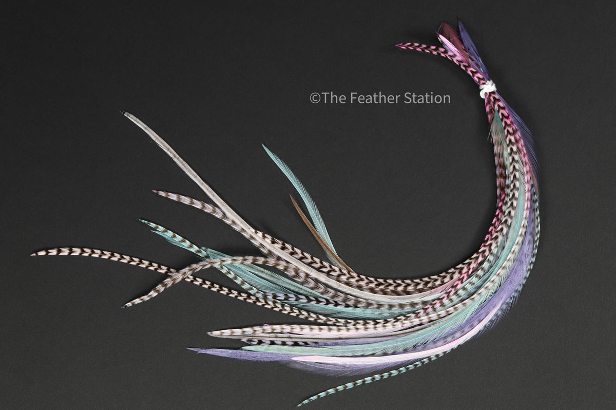Pastel colour Feather hair extension kit