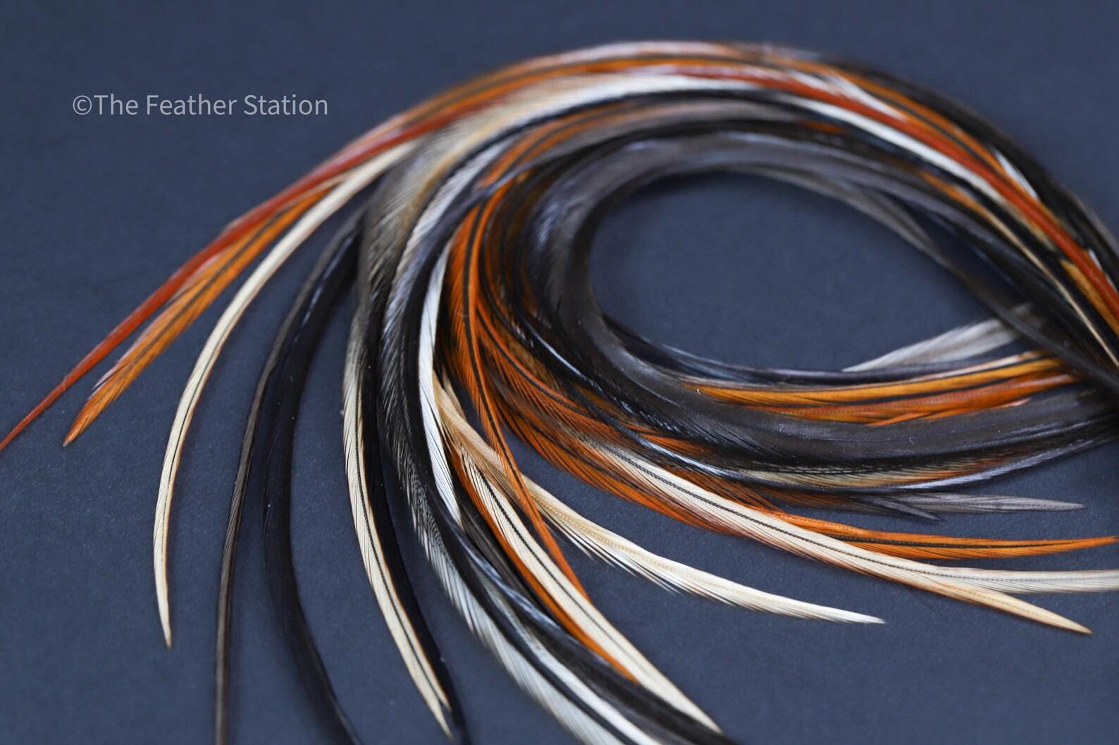 Chocolate Feather Hair Extension Kit 20-25 cm / 9-11''