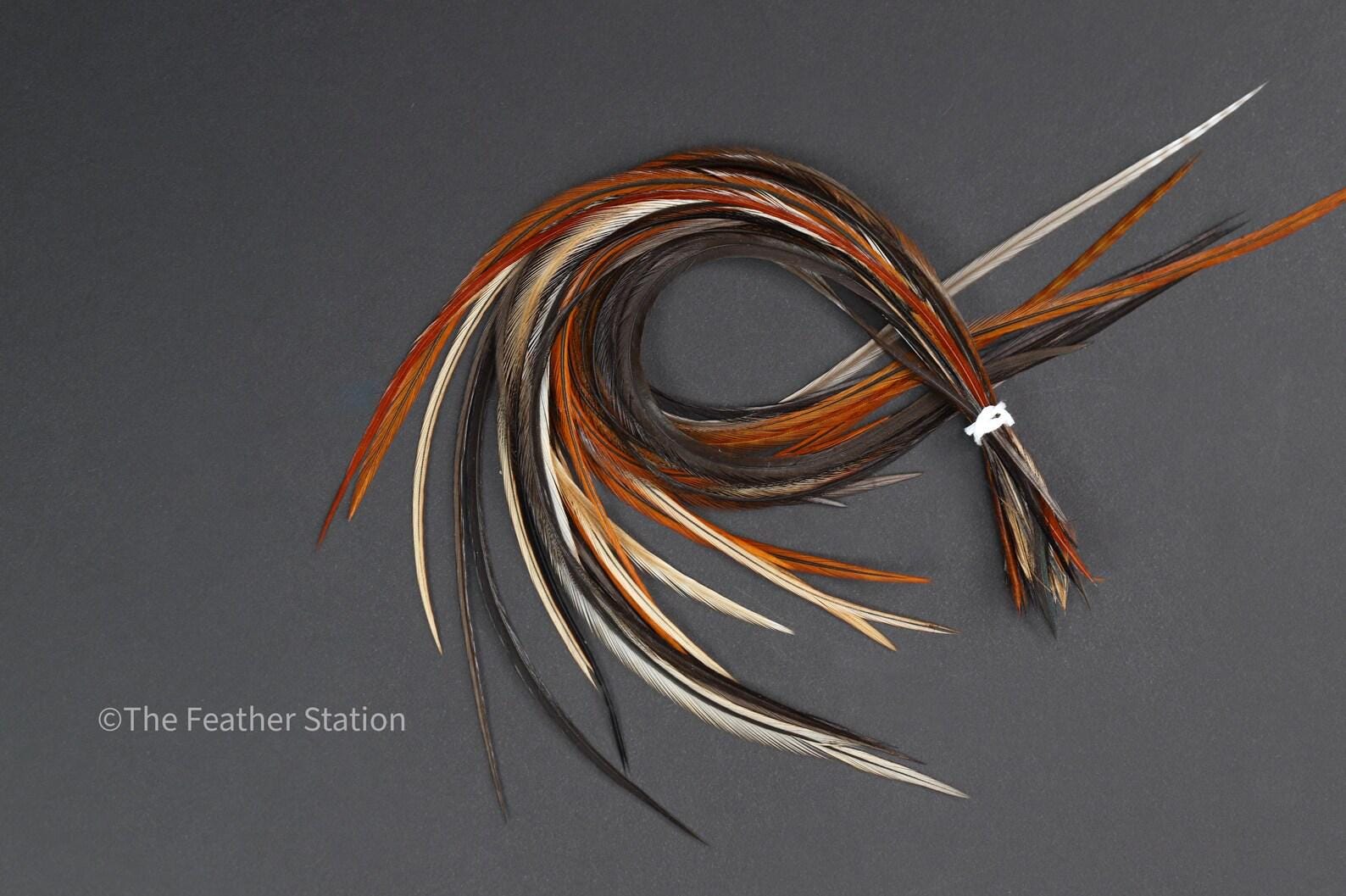 Chocolate Feather Hair Extension Kit 20-25 cm / 9-11''