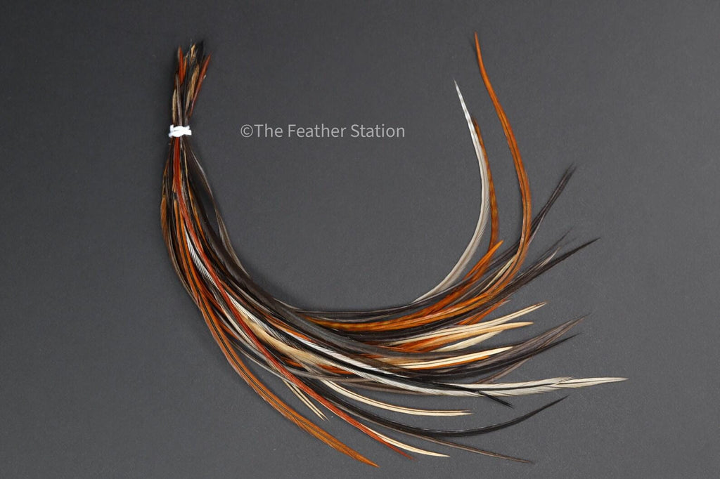 Chocolate Feather Hair Extension Kit 20-25 cm / 9-11''