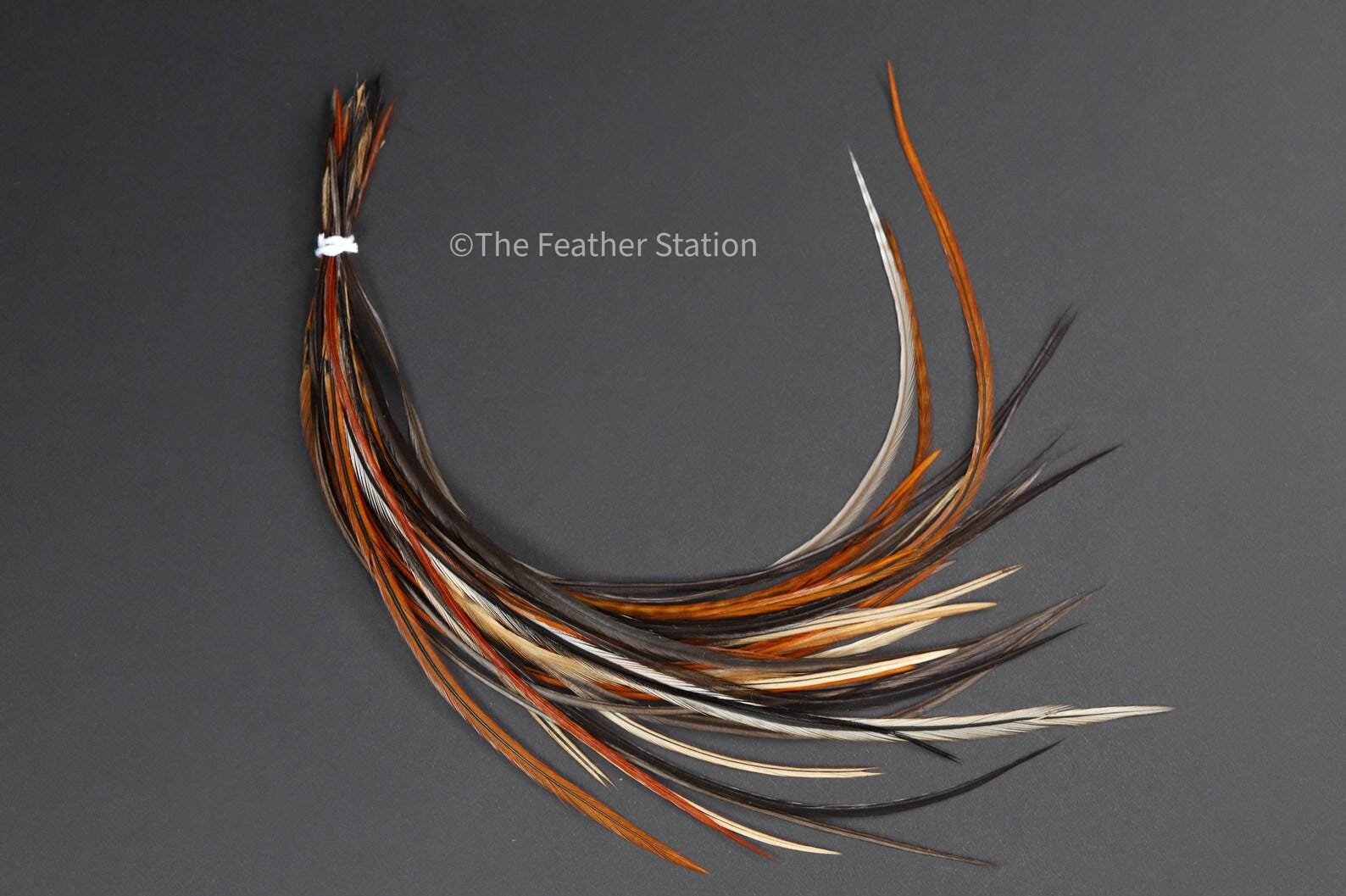 Chocolate Feather Hair Extension Kit 20-25 cm / 9-11''