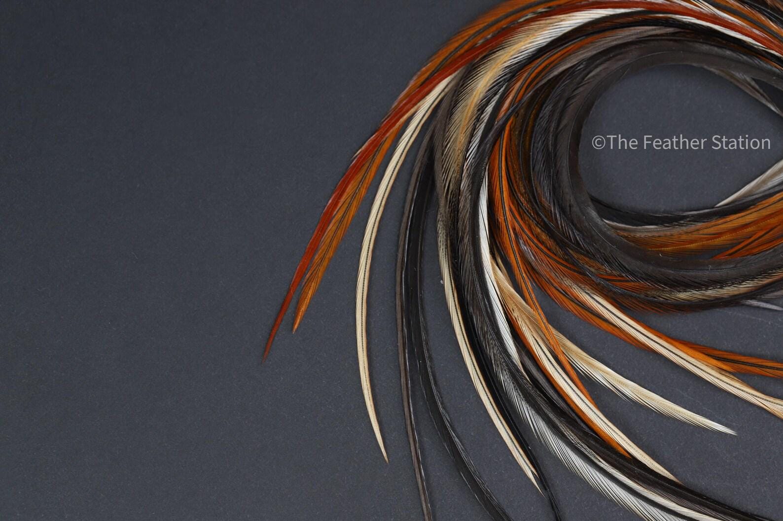 Chocolate Feather Hair Extension Kit 20-25 cm / 9-11''