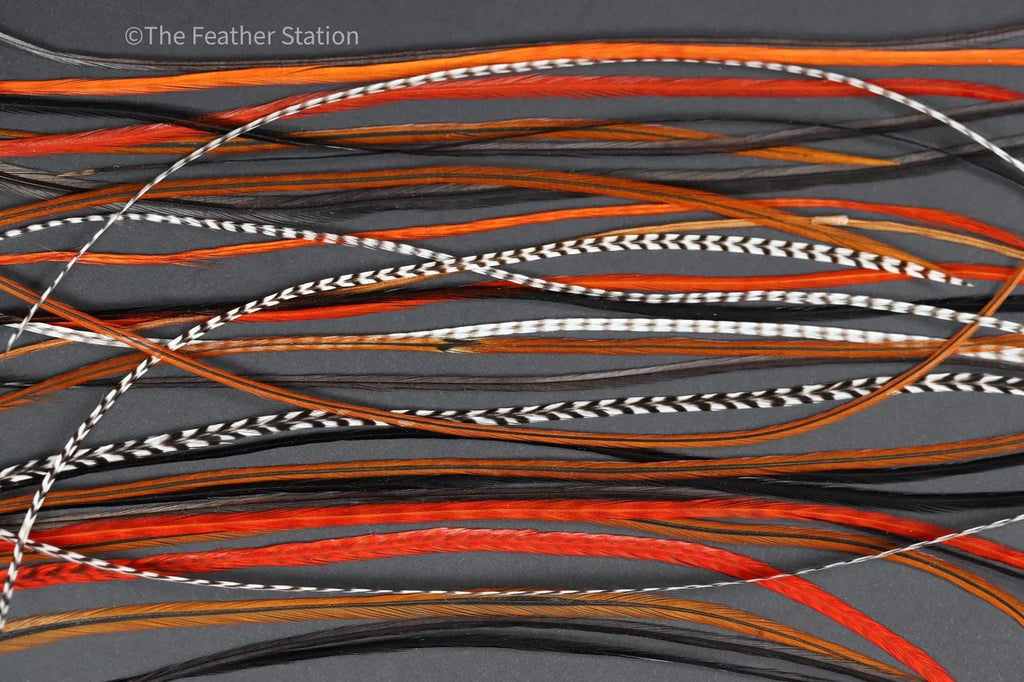 FIRE Feather Hair Extension DIY kit