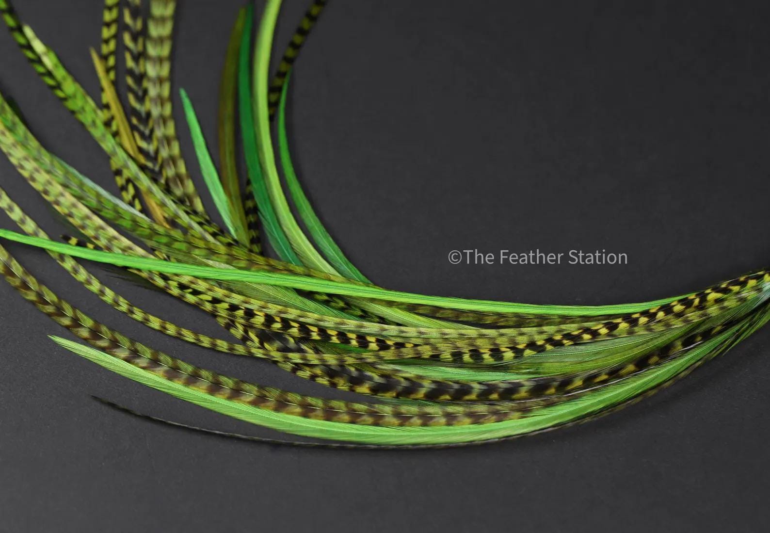 5 Green hair extension kit, 20-25 cm / 9-11''