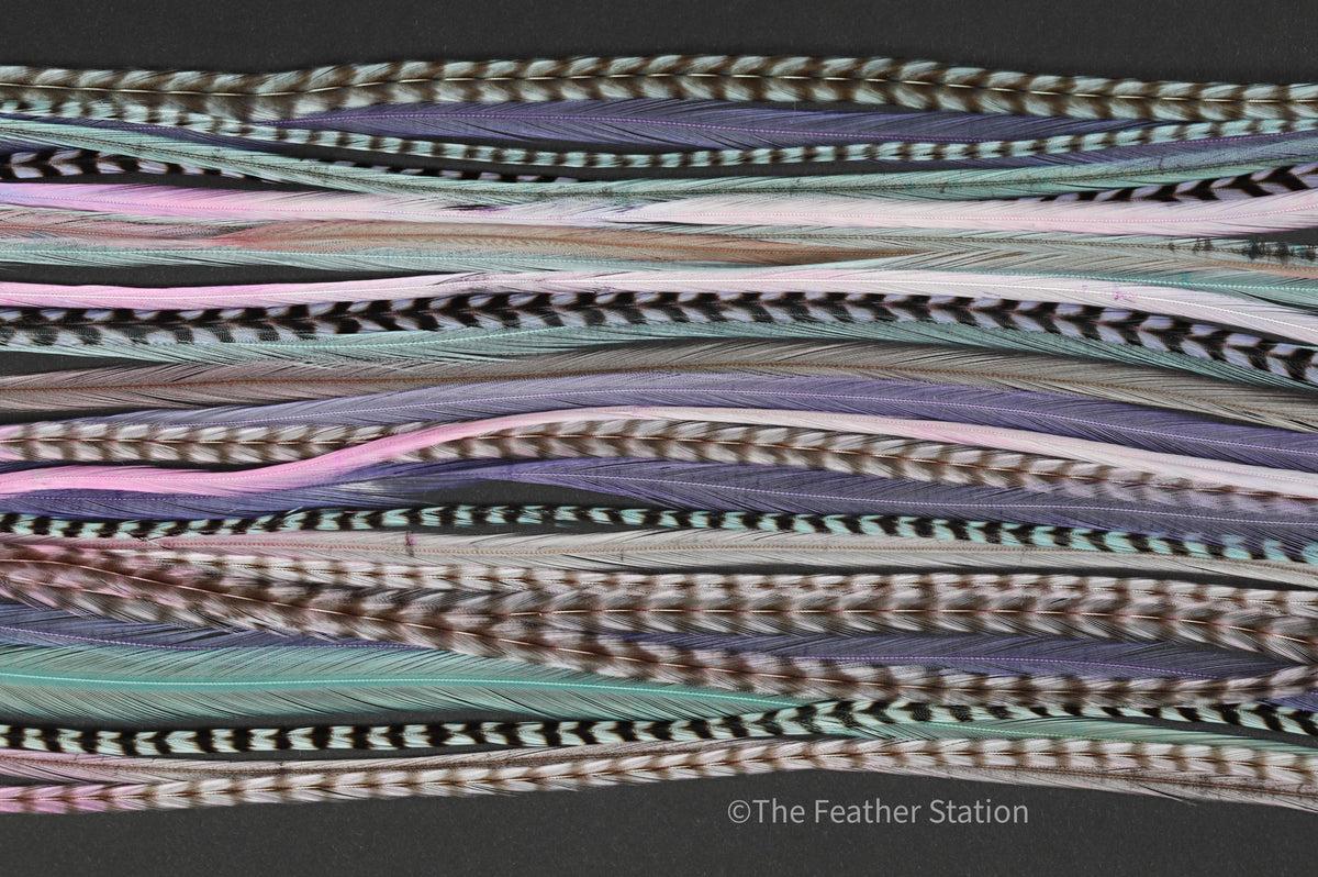 Pastel colour Feather hair extension kit