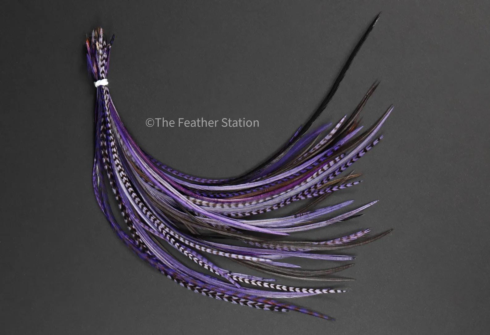 Purple rain, Hair Feather Extension Kit 20-25 cm / 9-11''