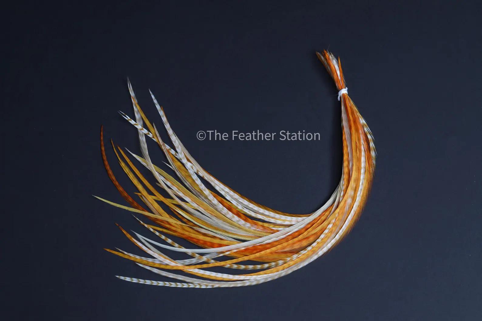 Ginger, Feather hair extension kit, real feathers, 20-25 cm / 9-11''