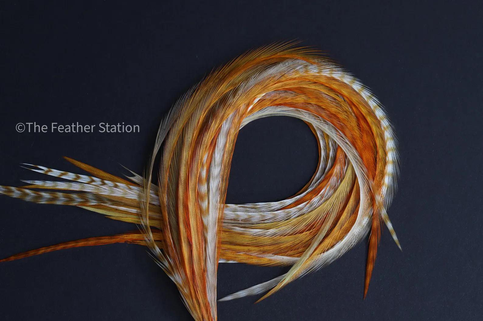 Ginger, Feather hair extension kit, real feathers, 20-25 cm / 9-11''