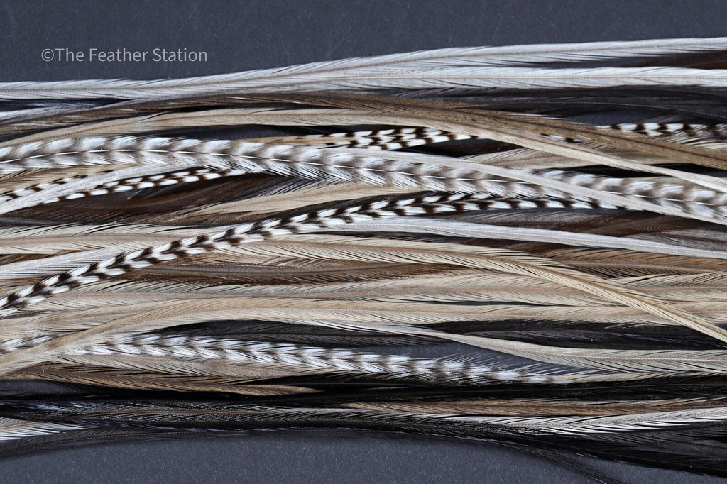 Cappuccino, DIY Feather Hair Extension Kit, 20-25 cm / 9-11''