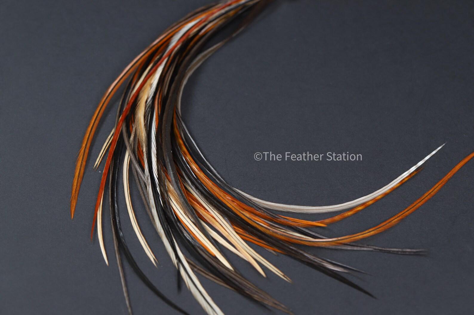Chocolate Feather Hair Extension Kit 20-25 cm / 9-11''