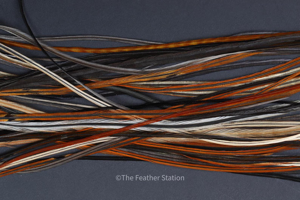 Chocolate Feather Hair Extension Kit 20-25 cm / 9-11''