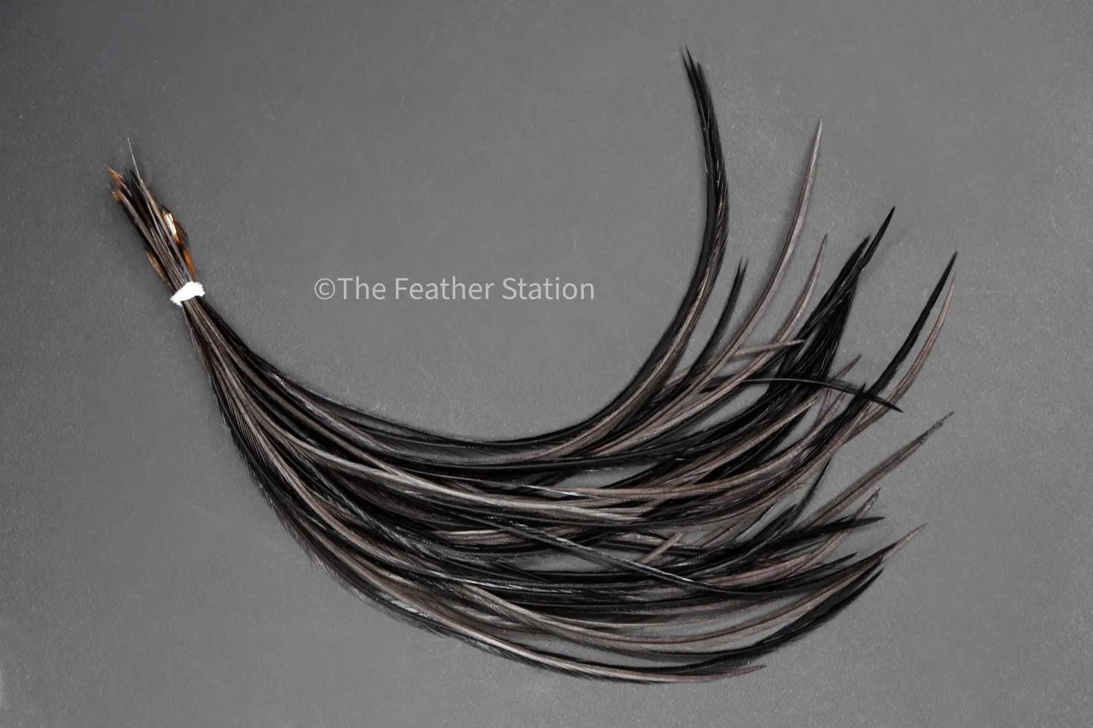 DIY Feather Hair Extension Kit, 20-25 cm / 9-11'' Dark black grey feathers, boho festival unique gothic emo halloween hair enhancement