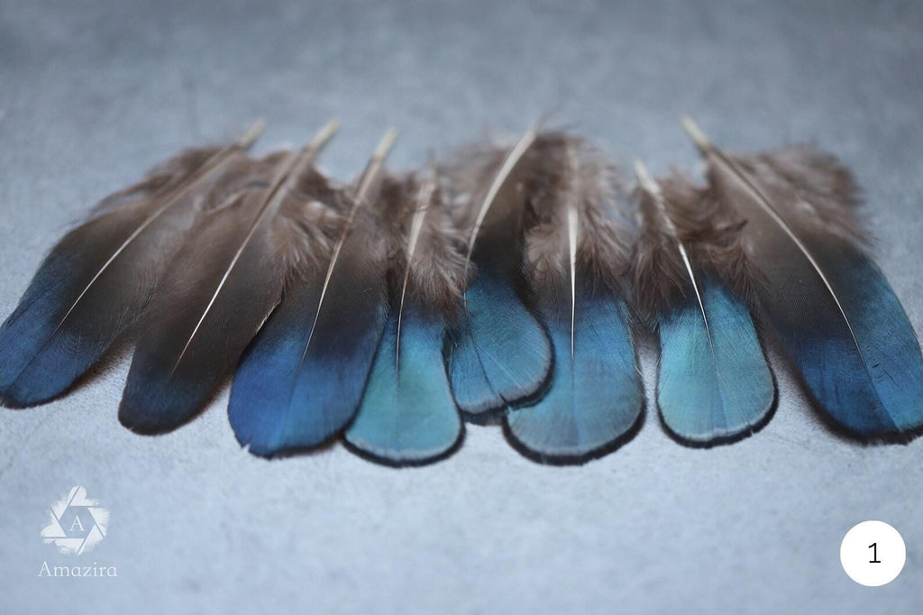 10 Natural blue Feathers packs