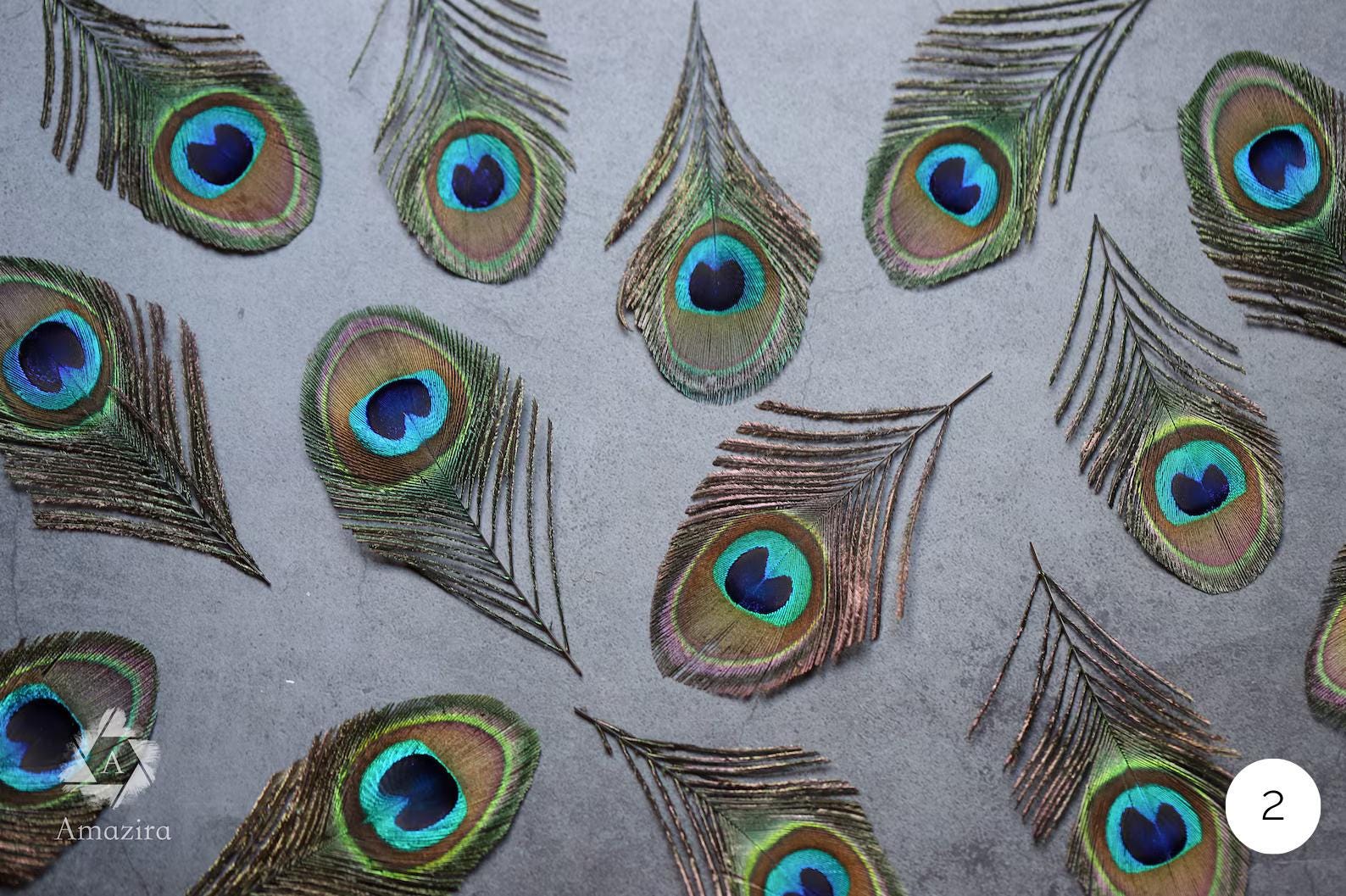 10 Natural blue Feathers packs