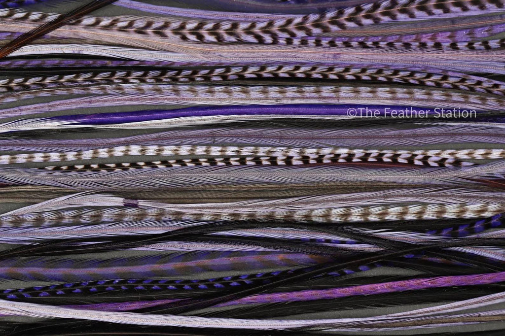 Purple rain, Hair Feather Extension Kit 20-25 cm / 9-11''