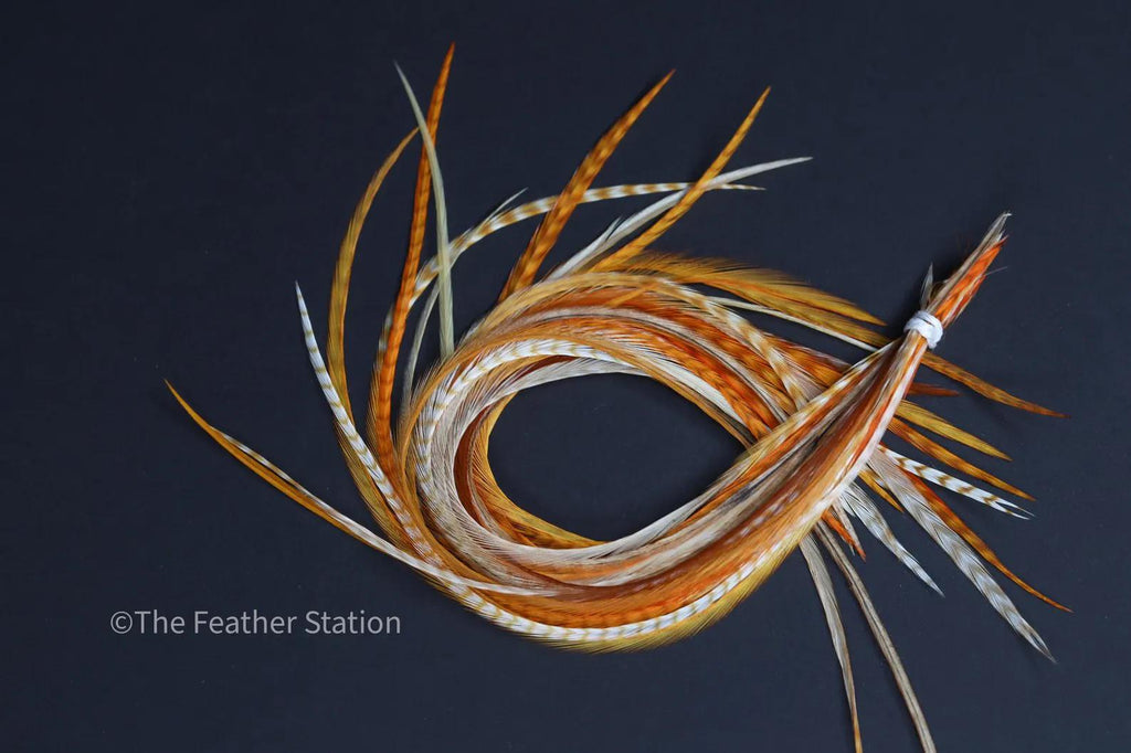 Ginger, Feather hair extension kit, real feathers, 20-25 cm / 9-11''