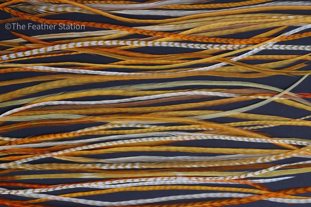 Ginger, Feather hair extension kit, real feathers, 20-25 cm / 9-11''