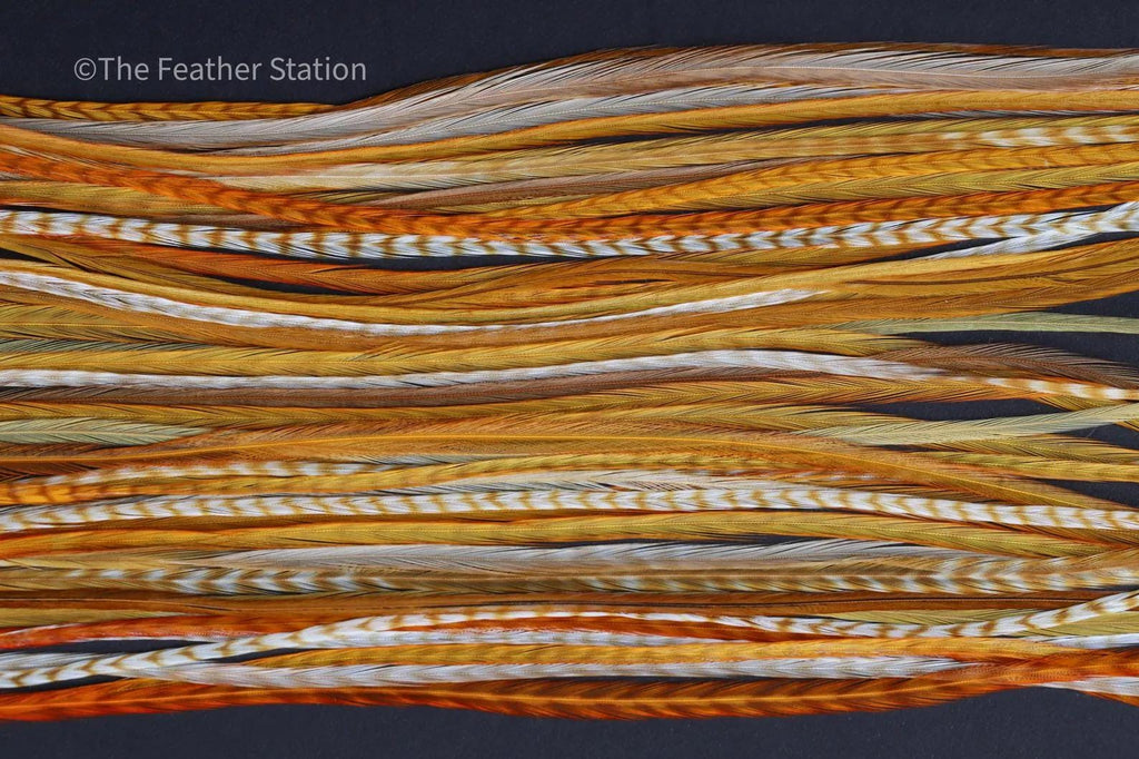 Ginger, Feather hair extension kit, real feathers, 20-25 cm / 9-11''