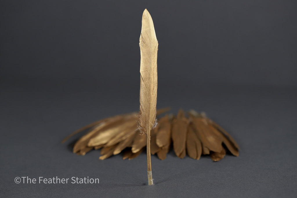 Gold goose feathers 10-15 cm, 4-6 inch