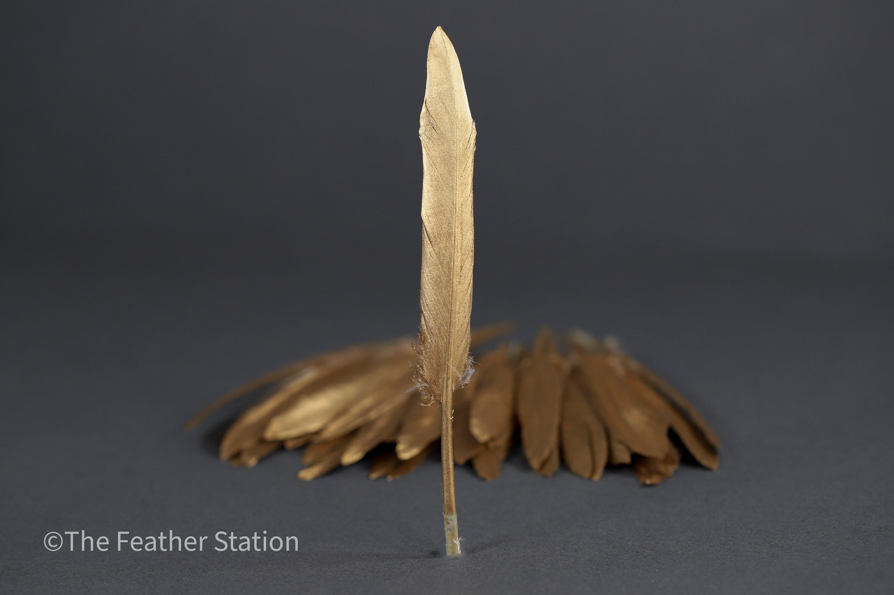 Gold goose feathers 10-15 cm, 4-6 inch