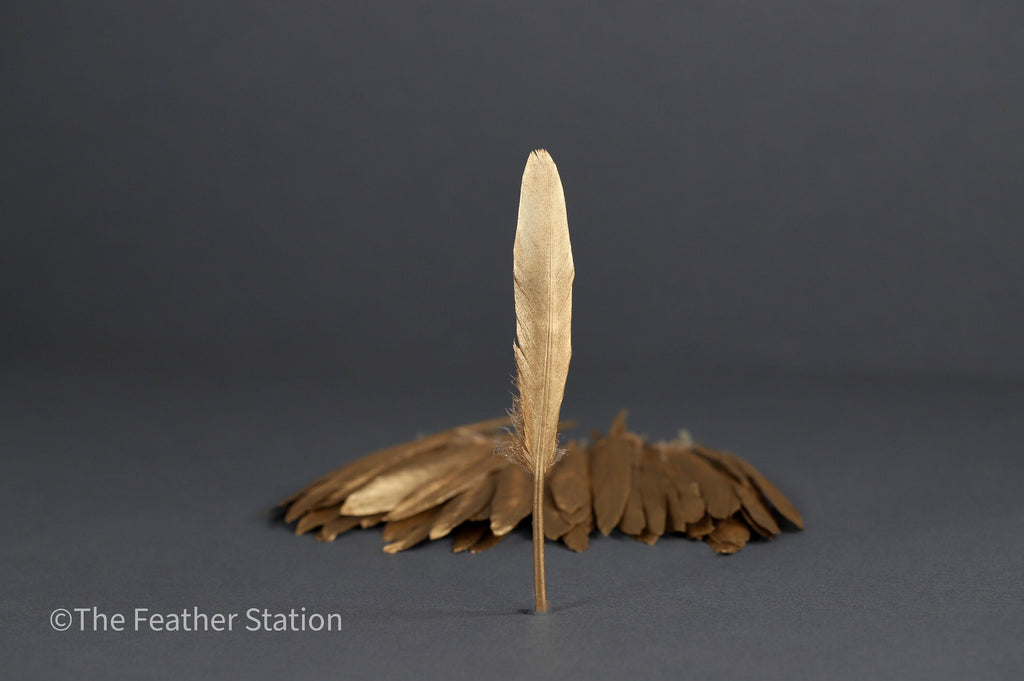 Gold goose feathers 10-15 cm, 4-6 inch