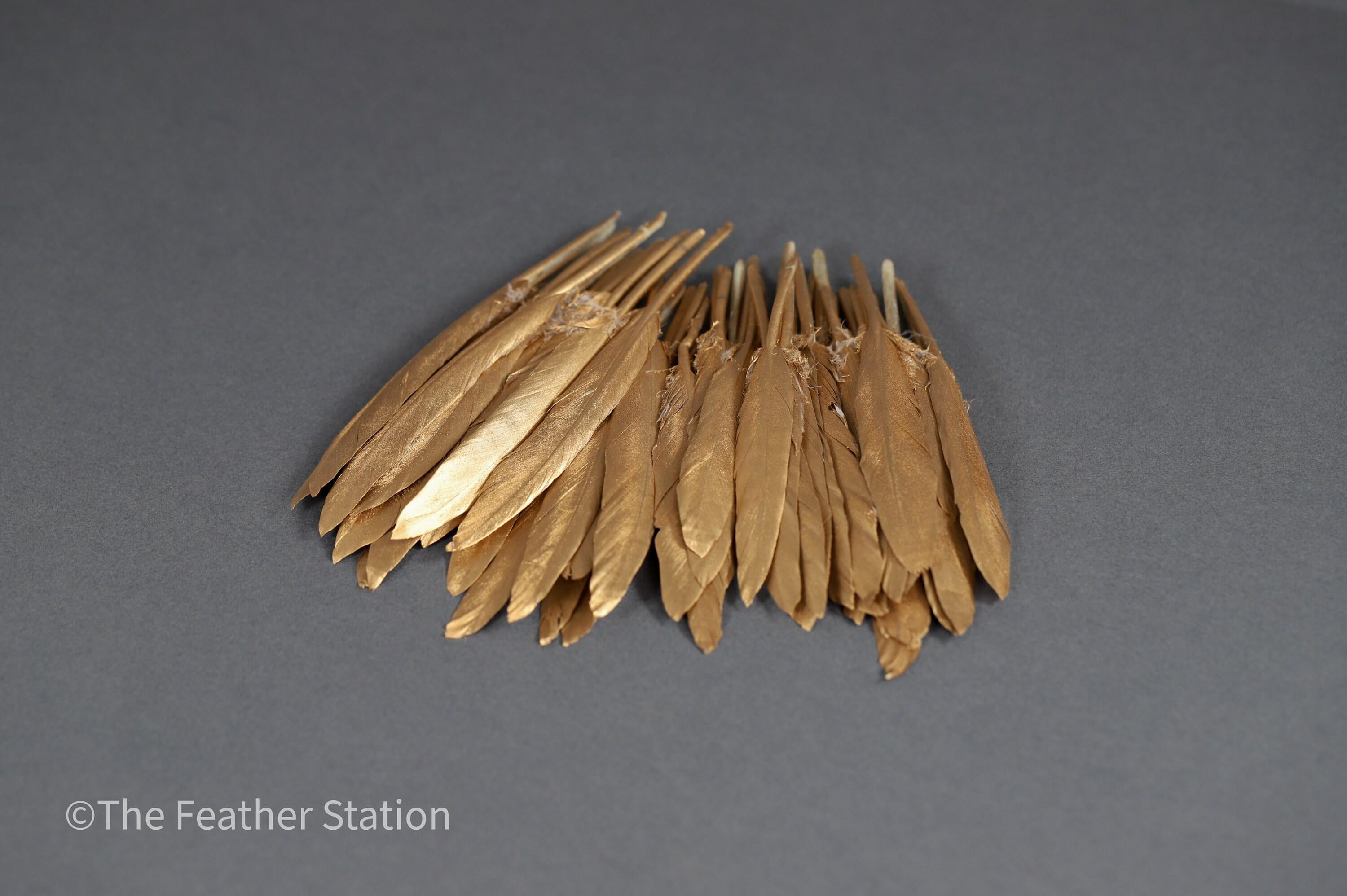 Gold goose feathers 10-15 cm, 4-6 inch