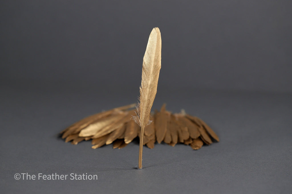 Gold goose feathers 10-15 cm, 4-6 inch