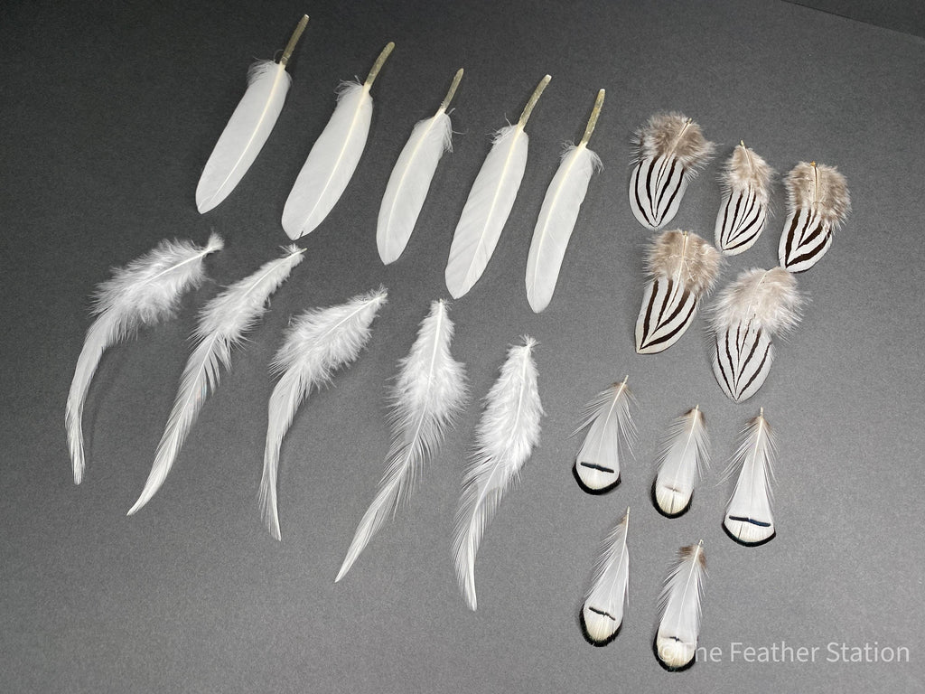 Mixed bag of white feathers, 20 small white feathers collection