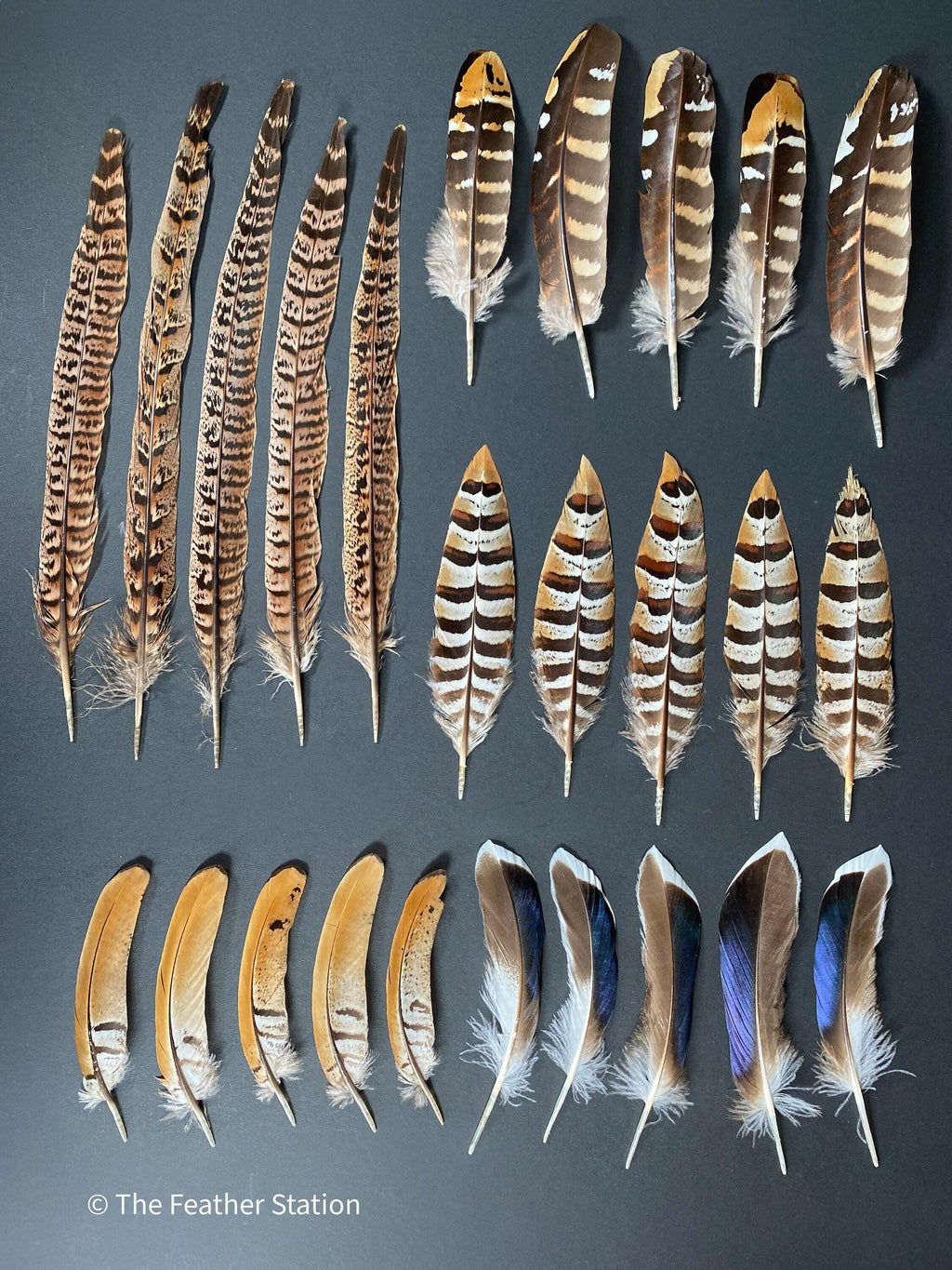 10 Mixed feather collection