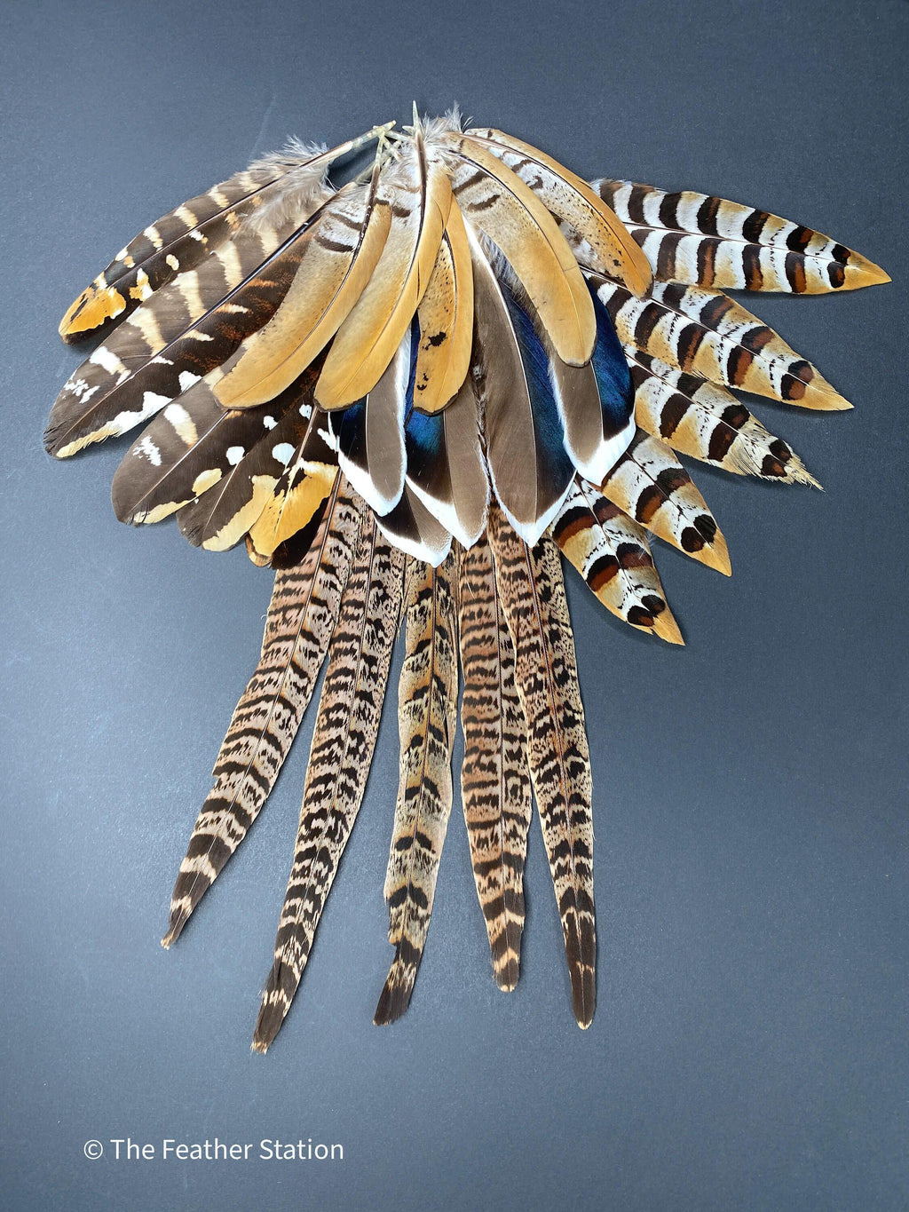 10 Mixed feather collection