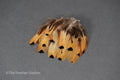Golden brown pheasant reeves feathers, 3-7 cm, 1-3"