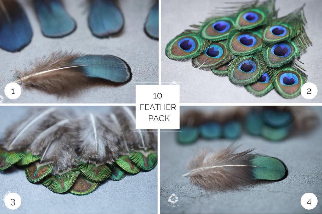 10 Natural blue Feathers packs