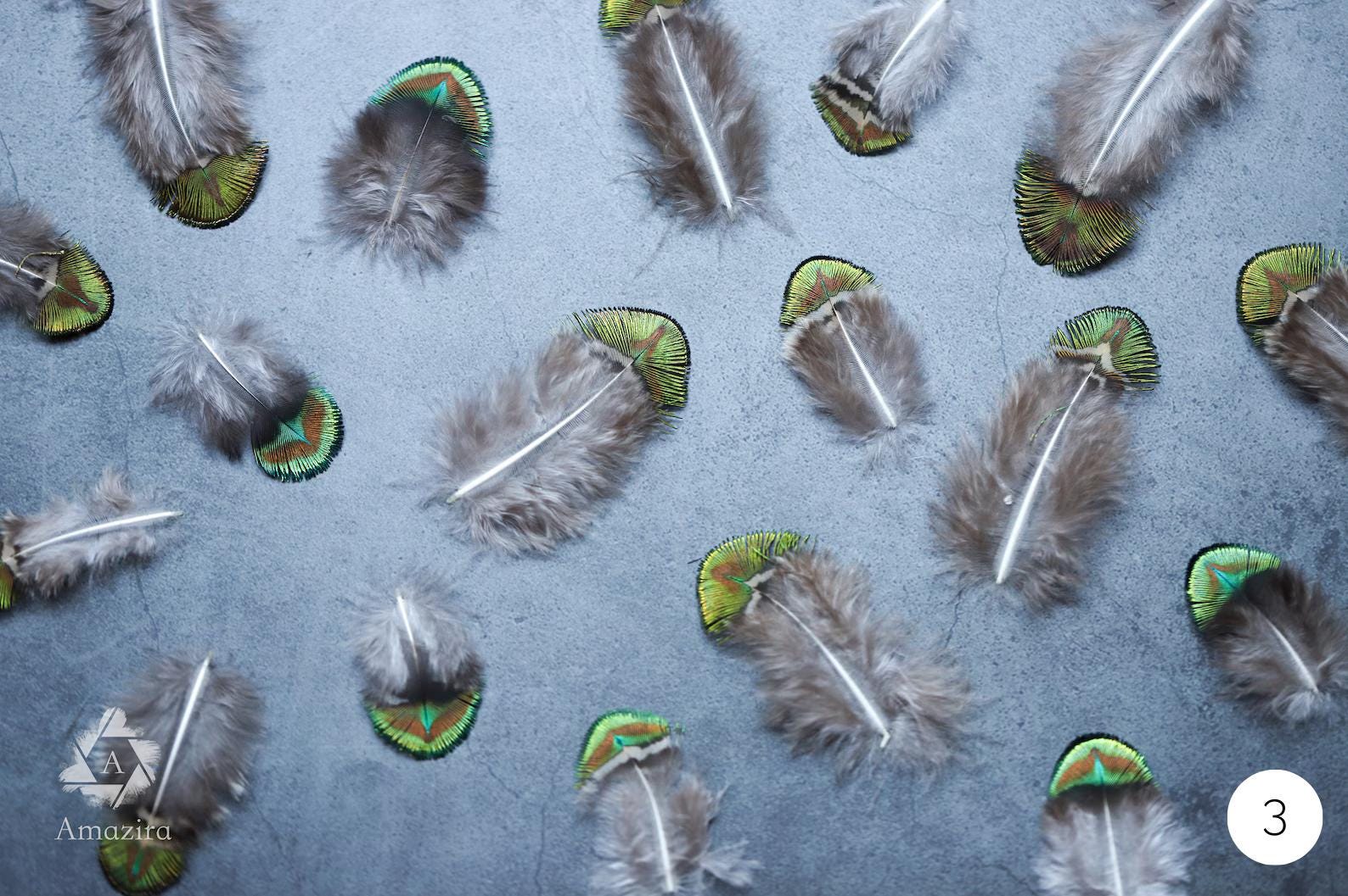 10 Natural blue Feathers packs