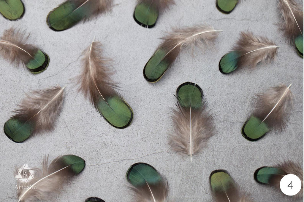10 Natural blue Feathers packs