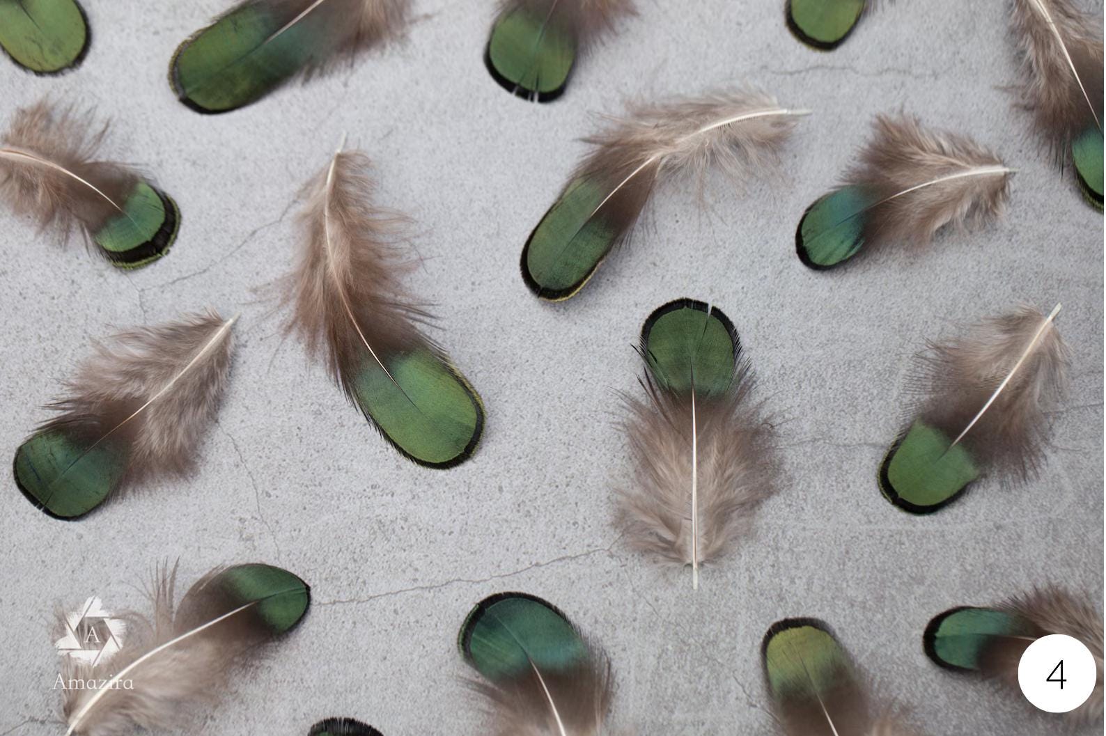 10 Natural blue Feathers packs