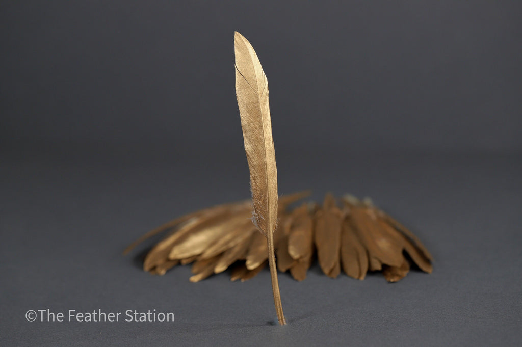 Gold goose feathers 10-15 cm, 4-6 inch