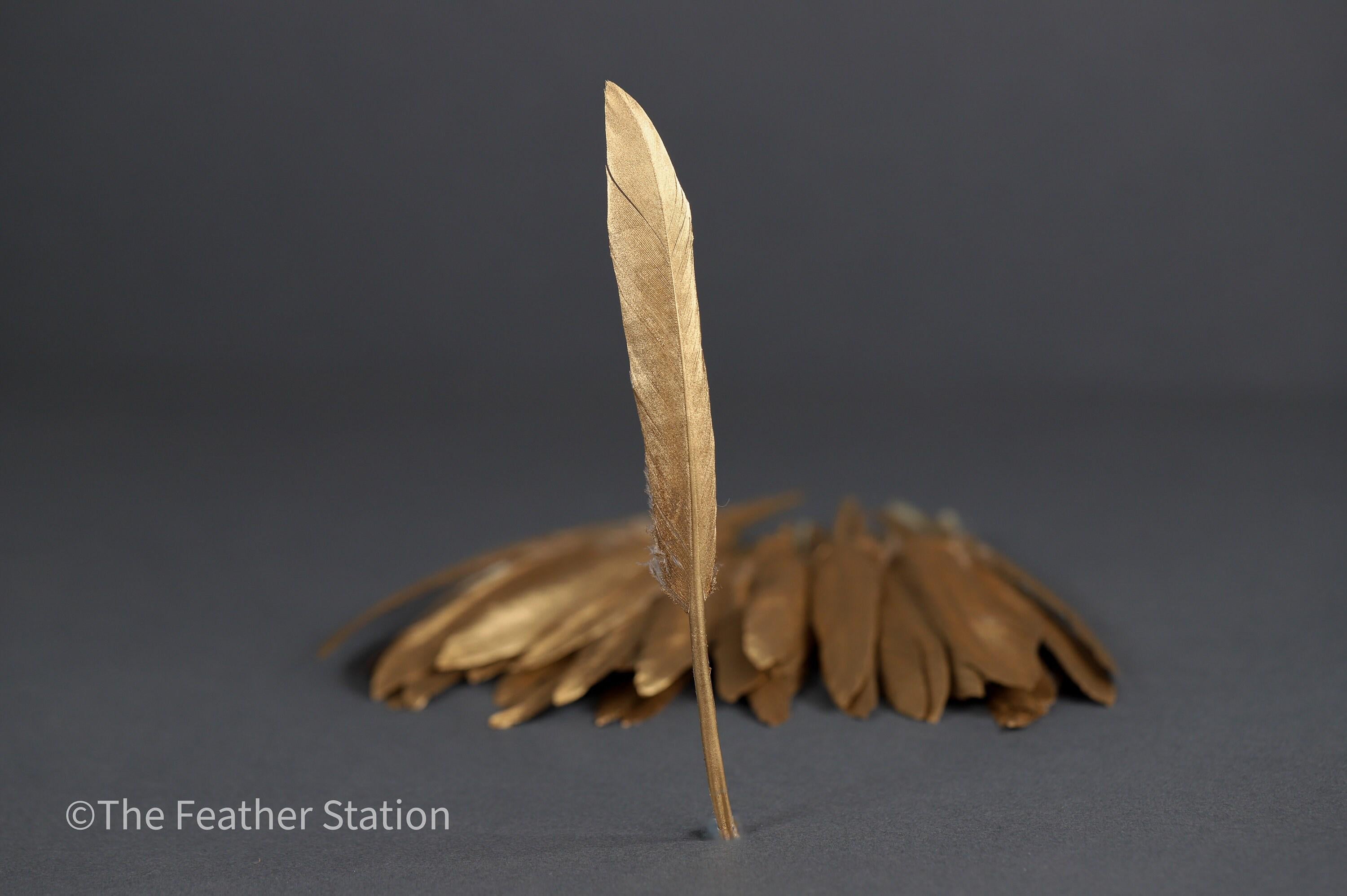 Gold goose feathers 10-15 cm, 4-6 inch