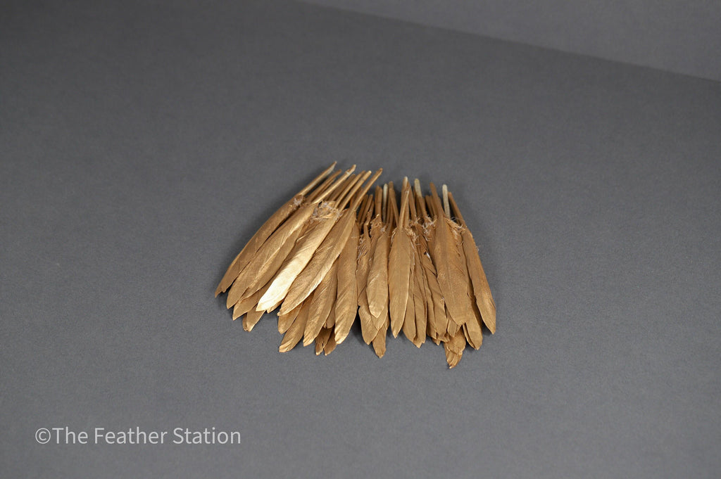 Gold goose feathers 10-15 cm, 4-6 inch