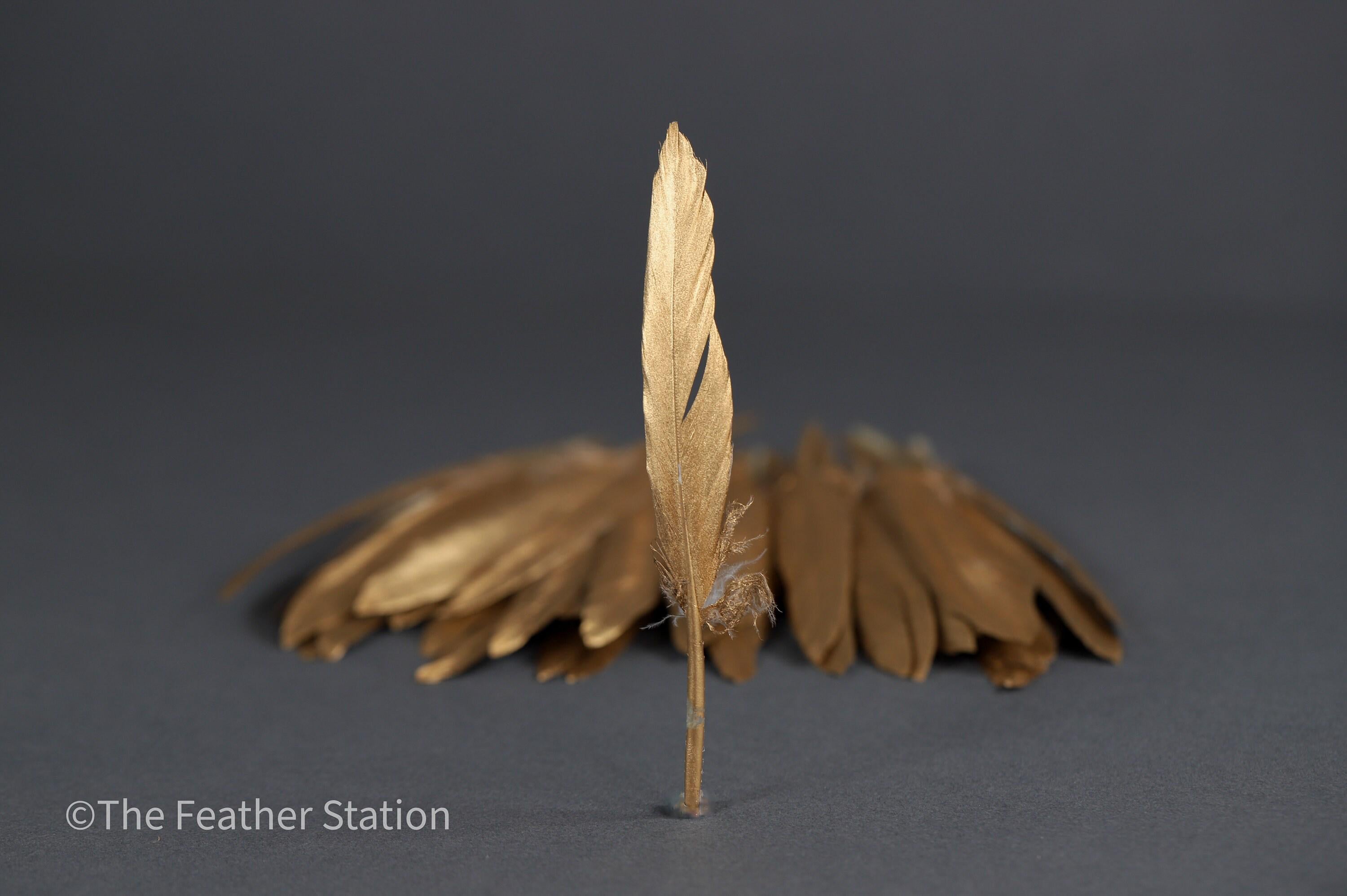 Gold goose feathers 10-15 cm, 4-6 inch