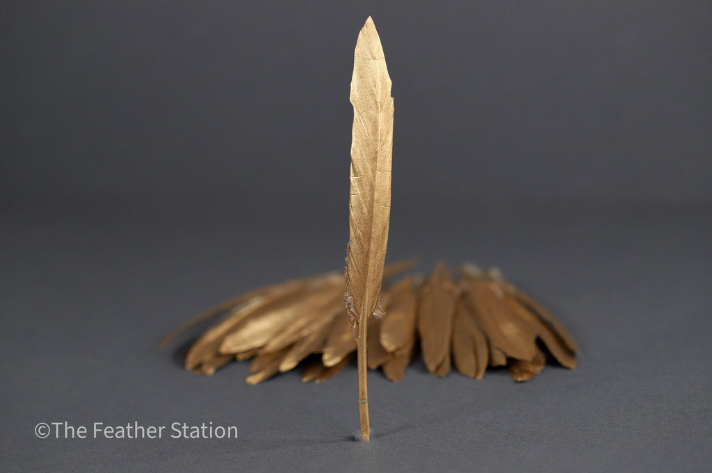 Gold goose feathers 10-15 cm, 4-6 inch