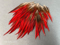 Plumes naturelles de faisan épée rouges, 2-3", 5-8cm