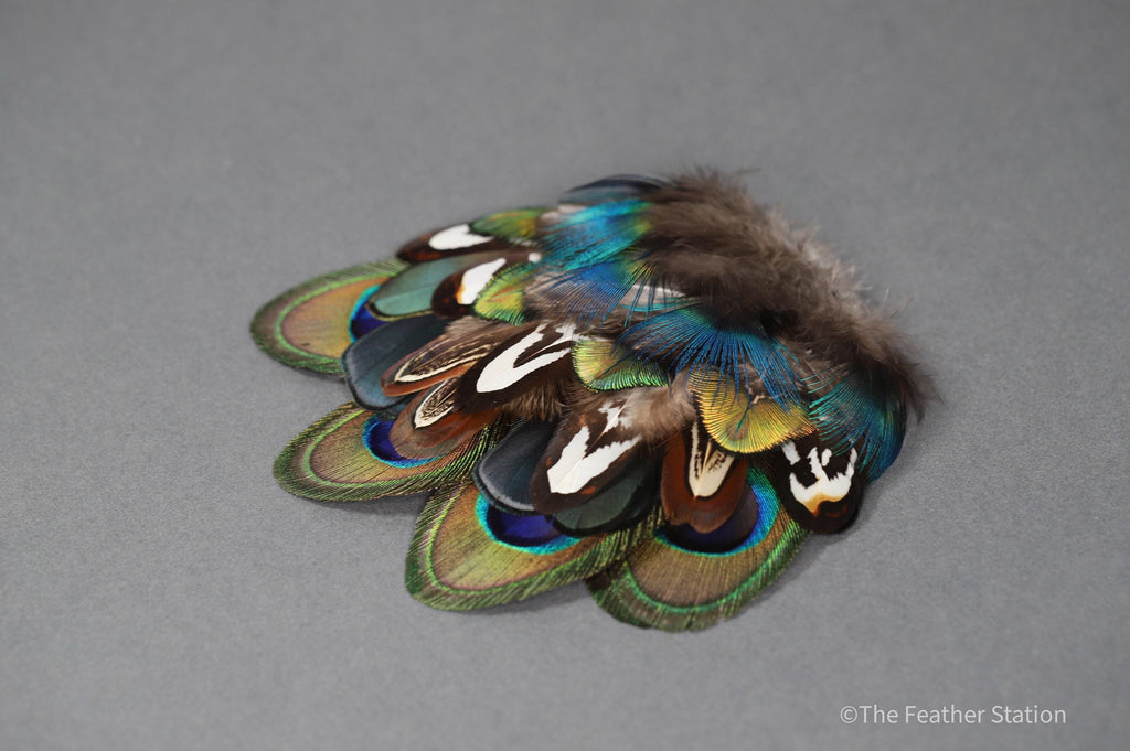 Mixed bag of feathers. 34 small lady amherst, pheasant & peacock collection, diy home decor, dream catcher, colourful iridescent feathers