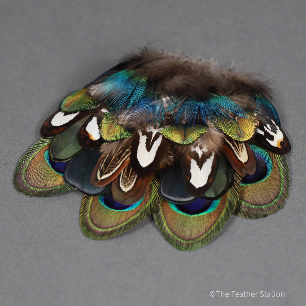 Mixed bag of feathers. 34 small lady amherst, pheasant & peacock collection, diy home decor, dream catcher, colourful iridescent feathers