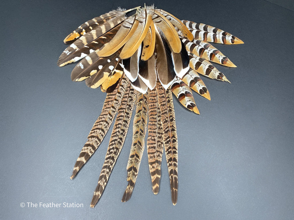 10 Mixed feather collection