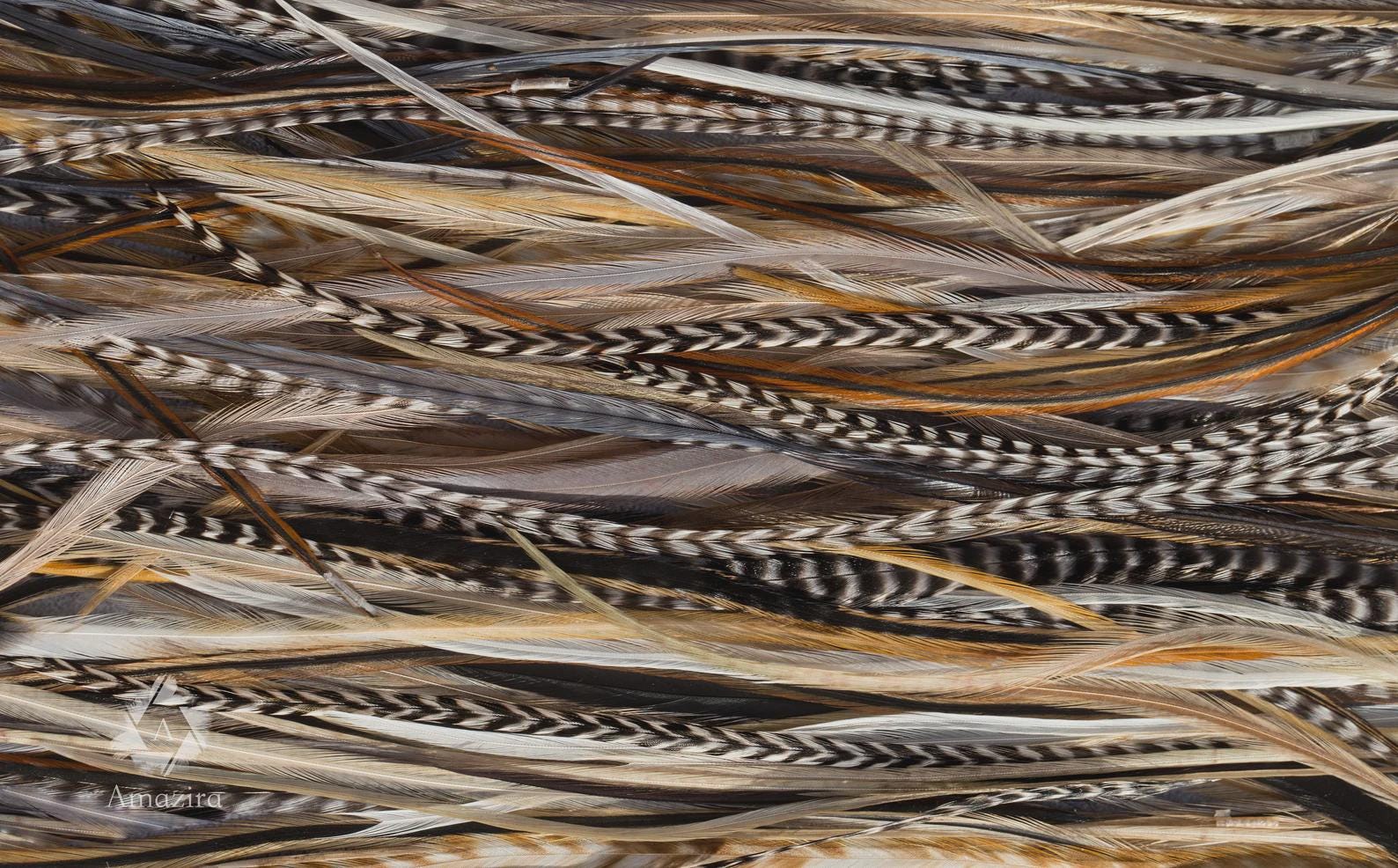 5 Black and white clip in feather hair