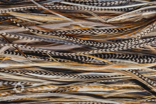 5 Feather Hair Extension DIY Kit, 7-18'' Natural stripped brown grizzly feathers