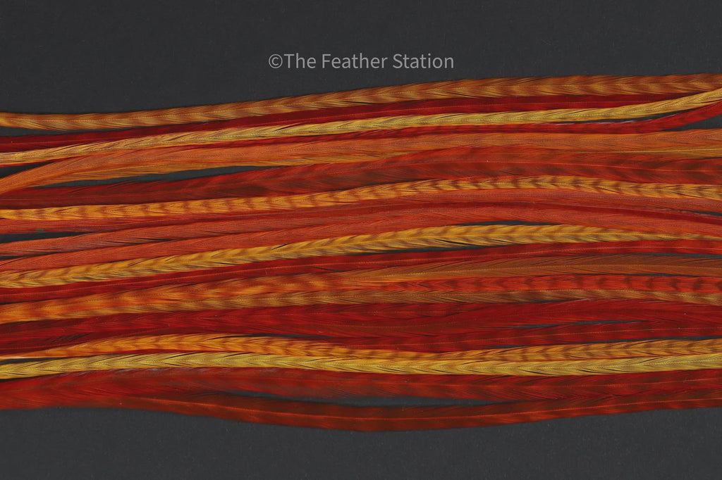 DIY Kit 5 Feather Hair Extension, 20-25 cm / 9-11''