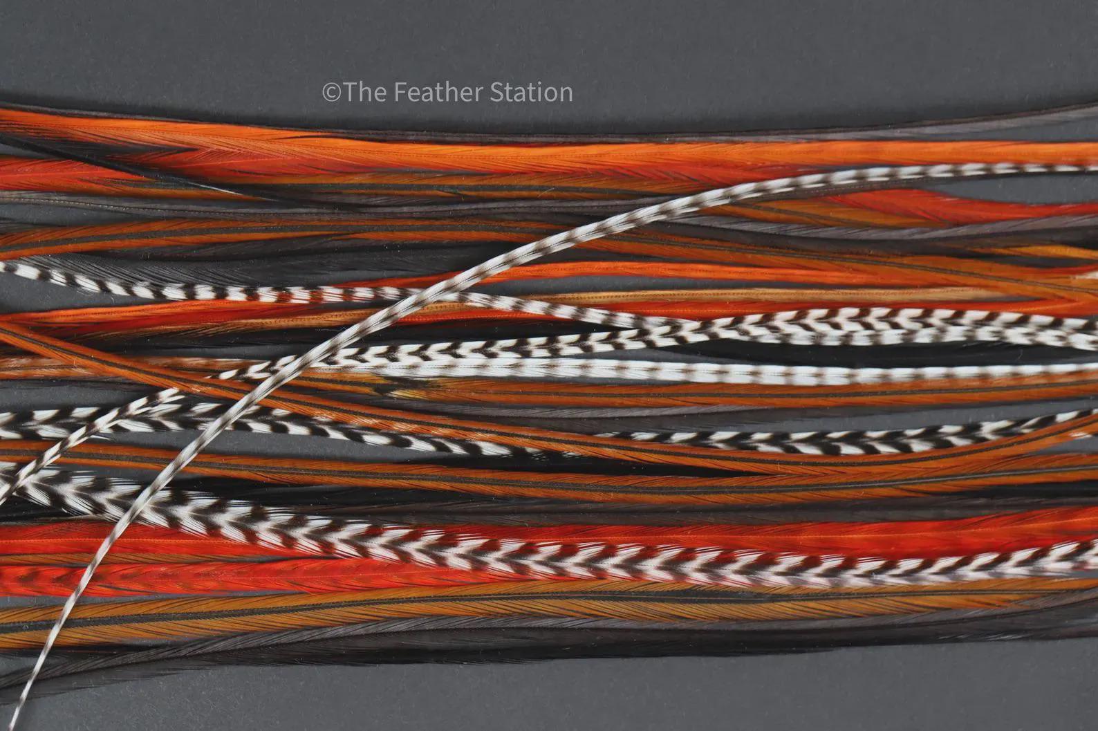 DIY Kit 5 Feather Hair Extension, 20-25 cm / 9-11''
