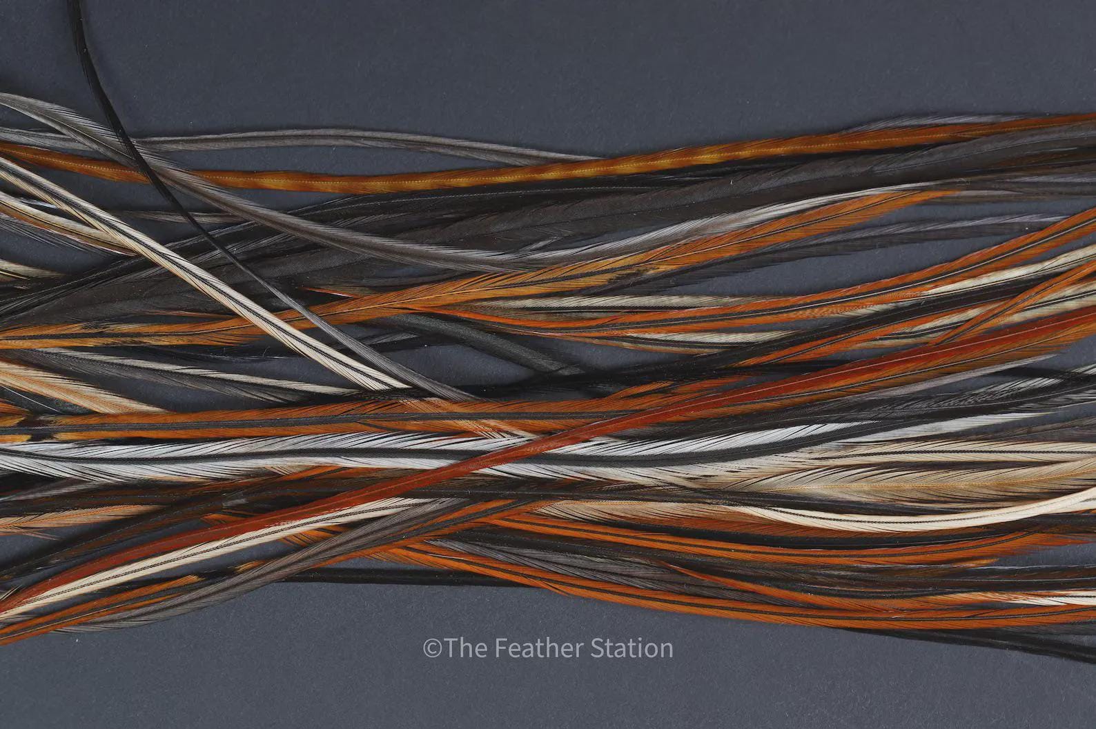 DIY Kit 5 Feather Hair Extension, 20-25 cm / 9-11''