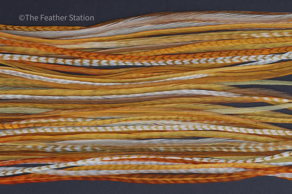 DIY Kit 5 Feather Hair Extension, 20-25 cm / 9-11''